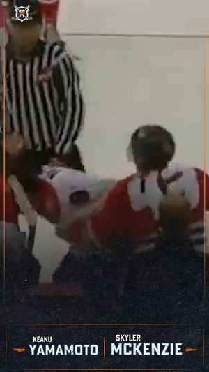 Video post by @hockeyfights on Instagram