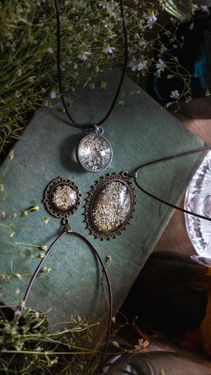 Video post by @leafyaffair on Instagram