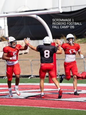 Image post by @isuredbirdfb on Instagram