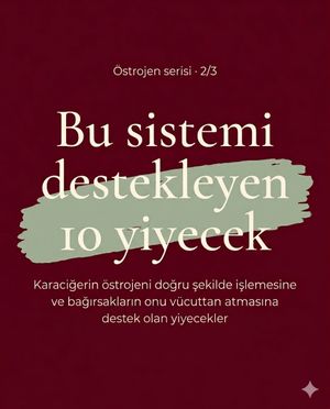 Image post by @asliokender on Instagram