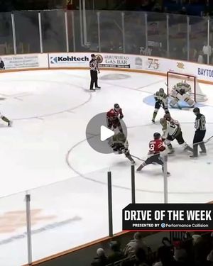 Image post by @ohlicedogs on Instagram