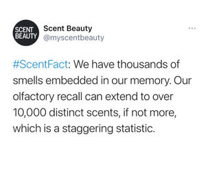 Image post by @scentbeauty on Instagram