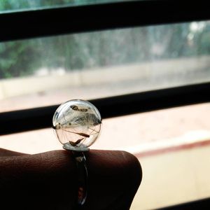 Image post by @leafyaffair on Instagram