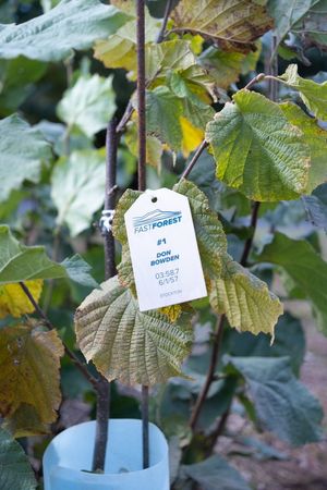 Image post by @endless_mileage on Twitter