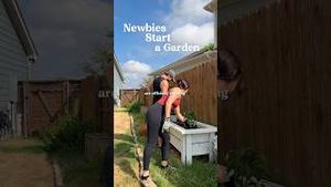 Video post by @hennasharee on YouTube