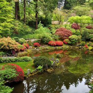 Image post by @ahs_gardening on Instagram