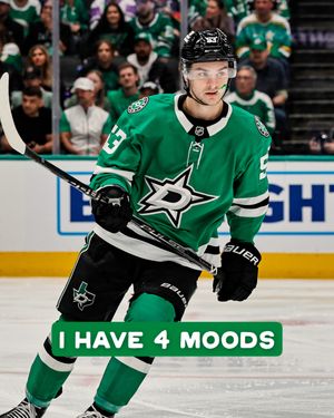 Video post by @dallasstars on TikTok