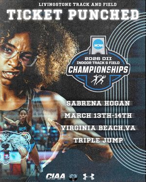 Image post by @bluebearathletics on Instagram