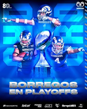 Image post by @borregostec on Instagram