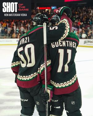 Image post by @arizonacoyotes on Instagram