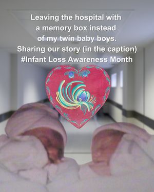 Image post by @ourfamilyvine on Instagram