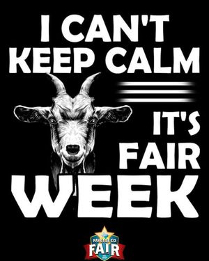 Image post by @fayettecofairtx on Instagram