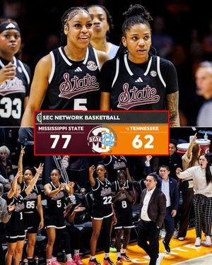 Image post by @secnetwork on Instagram