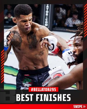 Image post by @bellatormma on Instagram