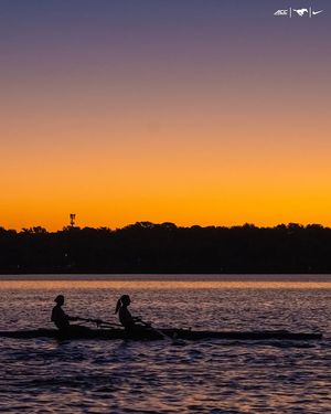 Image post by @smurowing on Instagram