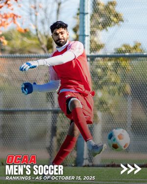 Image post by @theocaa on Instagram