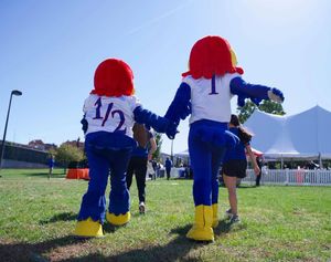 Image post by @kumascots on Instagram