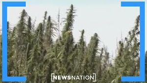 Video post by @newsnation on YouTube