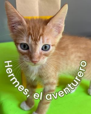 Image post by @tierradenando on Instagram