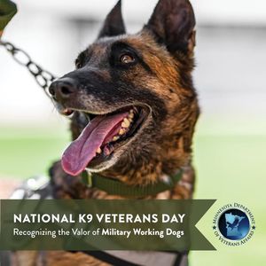 Image post by @MinnesotaDepartmentOfVeteransAffairs on Facebook