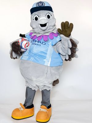 Image post by @skythepigeon on Instagram