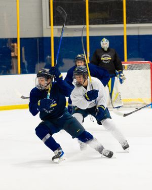 Image post by @merrimack_mih on Instagram