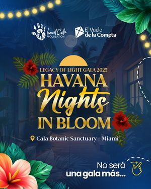 Image post by @ismaelcala on Instagram