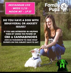 Image post by @drhempdog on Instagram