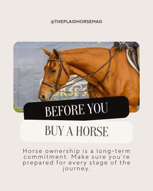Image post by @theplaidhorsemag on Instagram