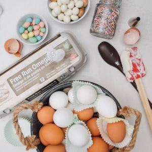 Image post by @conestoga_eggs on Instagram