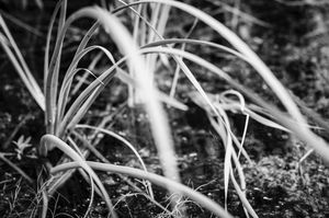Image post by @jtobiasphoto on Instagram