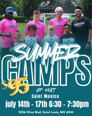 Image post by @stlouisambush on Instagram