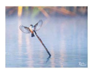 Image post by @phphotohd on Instagram