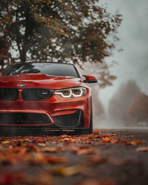 Image post by @mo_steve on Instagram