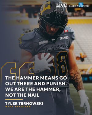 Image post by @hamiltontigercats on Instagram