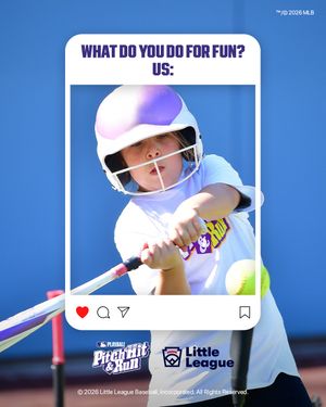 Image post by @littleleague on Instagram