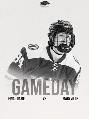 Image post by @razorbackhockeyclub on Instagram