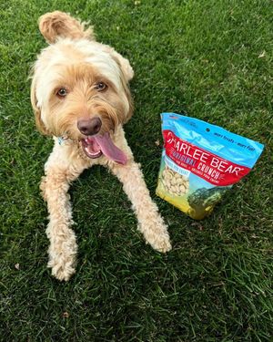 Image post by @charlee_bear_dogtreats on Instagram