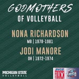 Image post by @msu_volleyball on Instagram