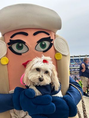 Image post by @CleHotDogs on Twitter