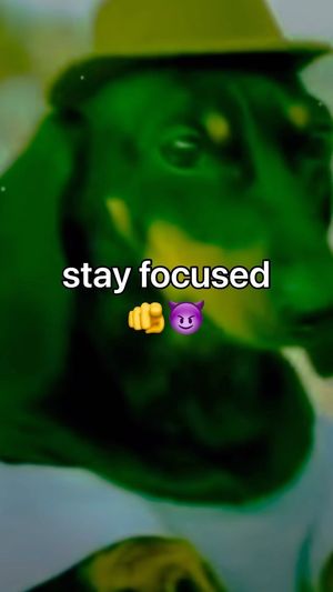 Video post by @aidan.orozco316 on Instagram