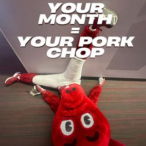 Image post by @razorbackmascots on Instagram