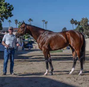Image post by @spendthriftfarm on Instagram