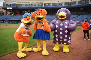 Image post by @akronrubberducks on Instagram