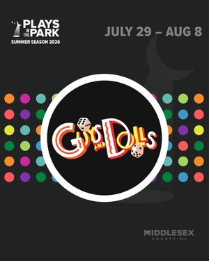 Image post by @playsintheparkedisonnj on Instagram