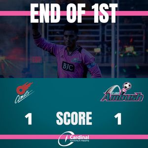 Image post by @stlouisambush on Instagram