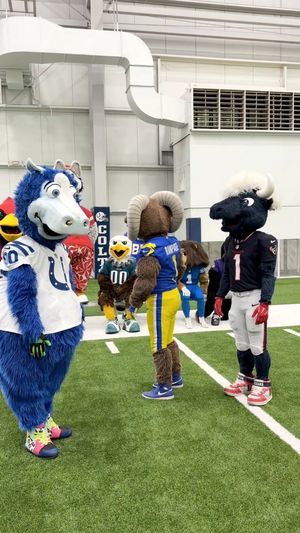 Video post by @TexansTORO1 on Facebook