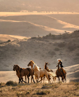 Image post by @cowgirlmagazine on Instagram