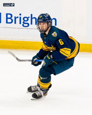 Image post by @merrimack_mih on Instagram