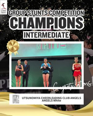 Image post by @cheer_japan on Instagram